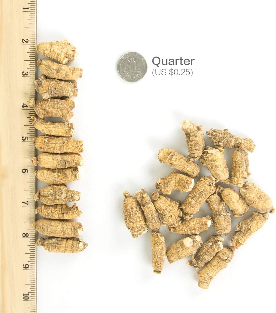 Hsu's SKU 110-4 | Short Extra Large | Cultivated Wisconsin American Ginseng Direct from Ginseng Gardens | 许氏花旗参 | 4oz Box, 西洋参, B005HSX9VM