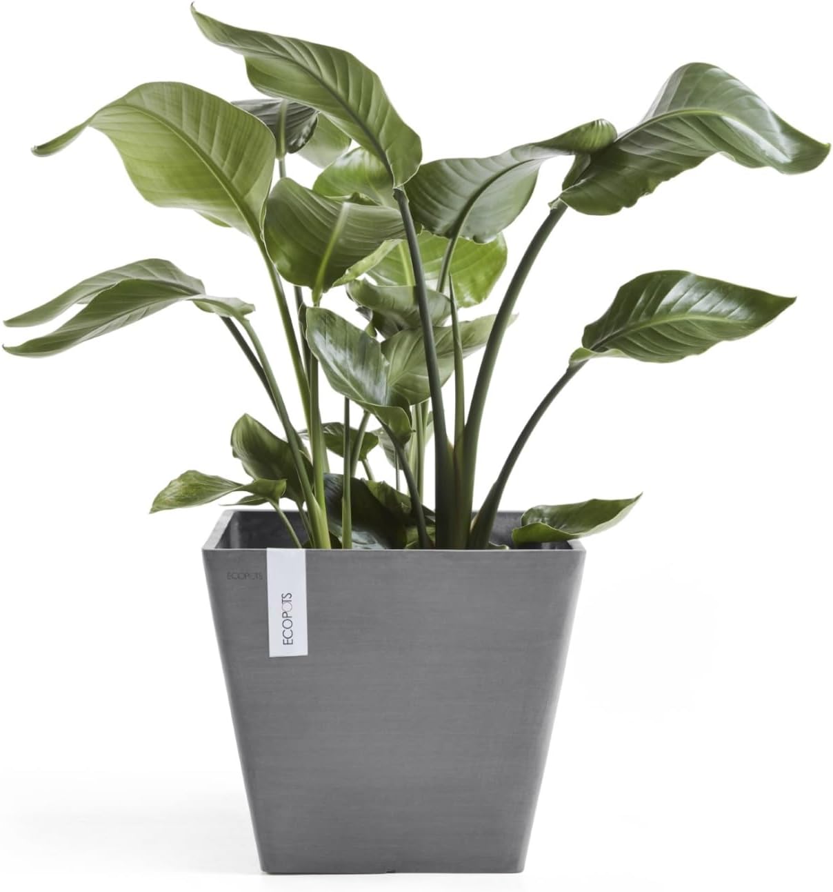 Ecopots Rotterdam Square Flower Planter, White Grey, 8" | Modern Style, Durable Recycled-Based Composite Construction, Weather and UV-Resistant, for Indoor/Outdoor Use