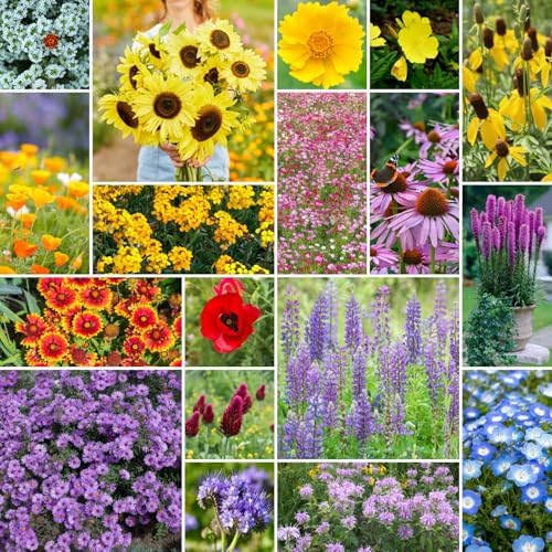 Eden Brothers The Bees Knees Pollinator Wildflower Seed Mix, 1/4 lb (135,000+ Seeds) Throw and Grow - 100% Pure, No Fillers - 18-Variety Non-GMO Annual + Perennial, Covers up to 1,100 SqFt, Zones 3-10