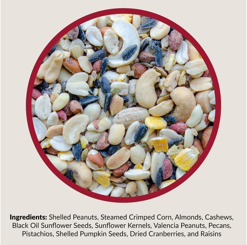 Lyric Fruit and Nut Wild Bird Seed - High Energy Wild Bird Food Mix - Attracts Woodpeckers, Chickadees & Other Songbirds -5 lb. Bag | Attracts Woodpeckers, Chickadees and other songbirds