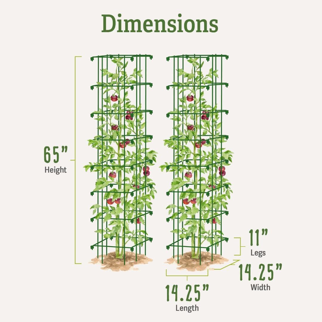 Gardener’s Supply Company Extra Tall Heavy-Guage Square Tomato Cages | Easy Fold Plant Supports & Vegetable Garden Stakes | 14.25" x 14.25" x 65"