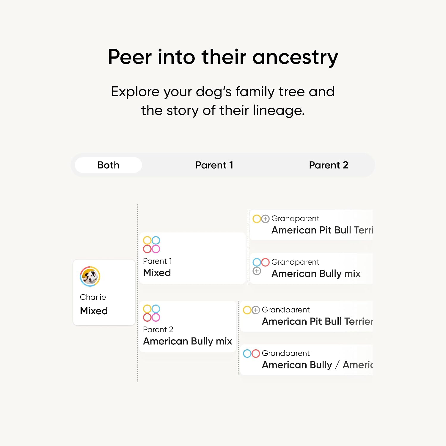 Embark Breed ID Dog DNA Test Kit – 400+ Breeds, 99% Breed Accuracy | Dog DNA testing kit for mixed breeds. Ancestry to great-grandparents