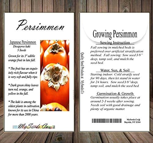 Japanese Persimmon (5 Seeds) Asian Persimmons (Diospyros Kaki-fuyu) Tree Shrub