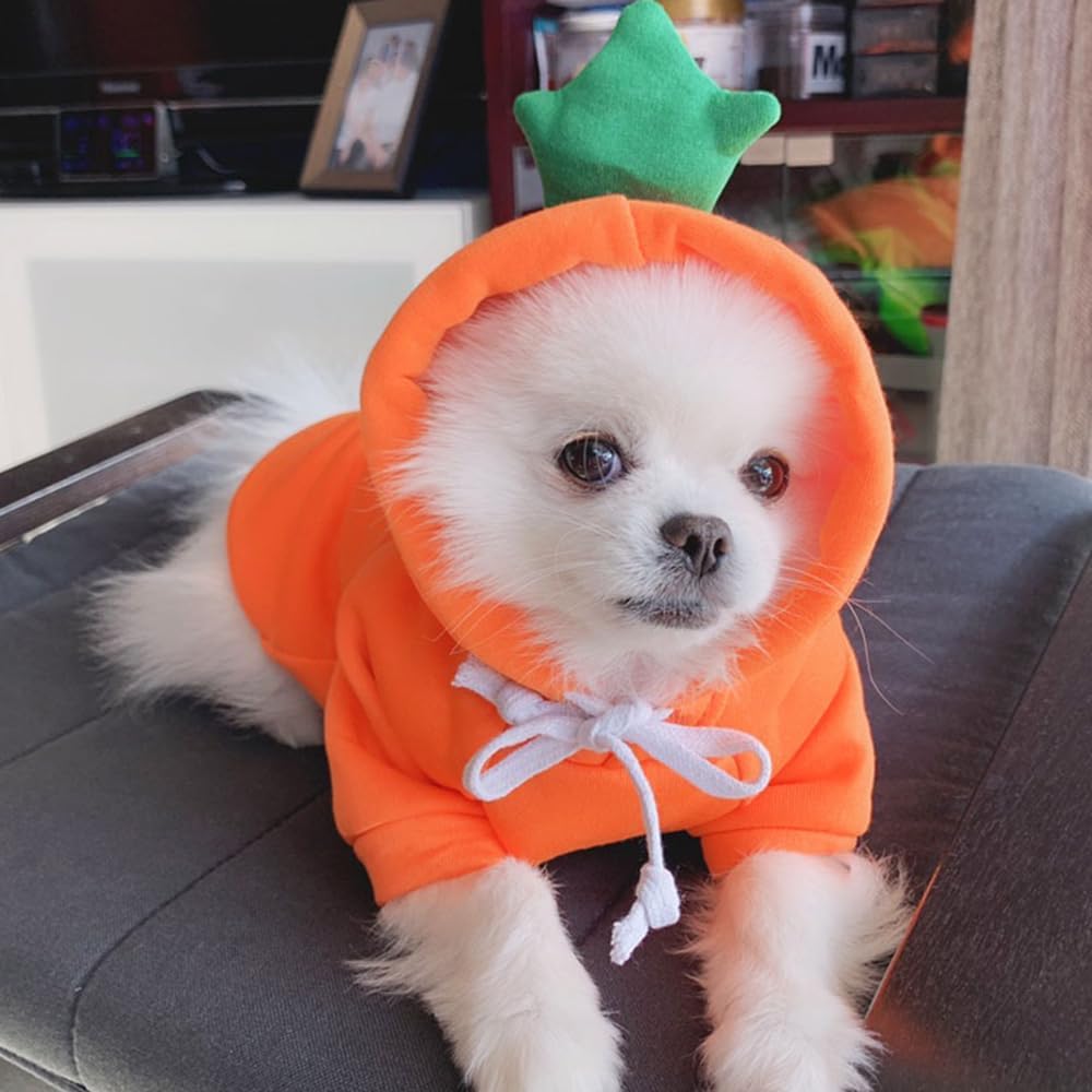 ANIAC Dog Hoodies Sweatshirt with Bunny Ears Spring Puppy Clothes for Small Dog Girl Boy Soft Doggy Sweater Cat Apparel Pet Clothing for Kitten