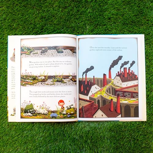 The Curious Garden