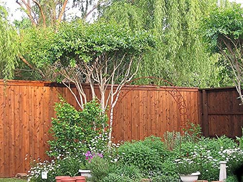 Ready Seal Stain & Sealer for Wood, Outdoor Deck and Fence - All-in-One Exterior Wood Stain and Waterproofing Sealant – Easy to Apply, No Back Brushing Needed, with UV Protection - 1 Gallon, Pecan