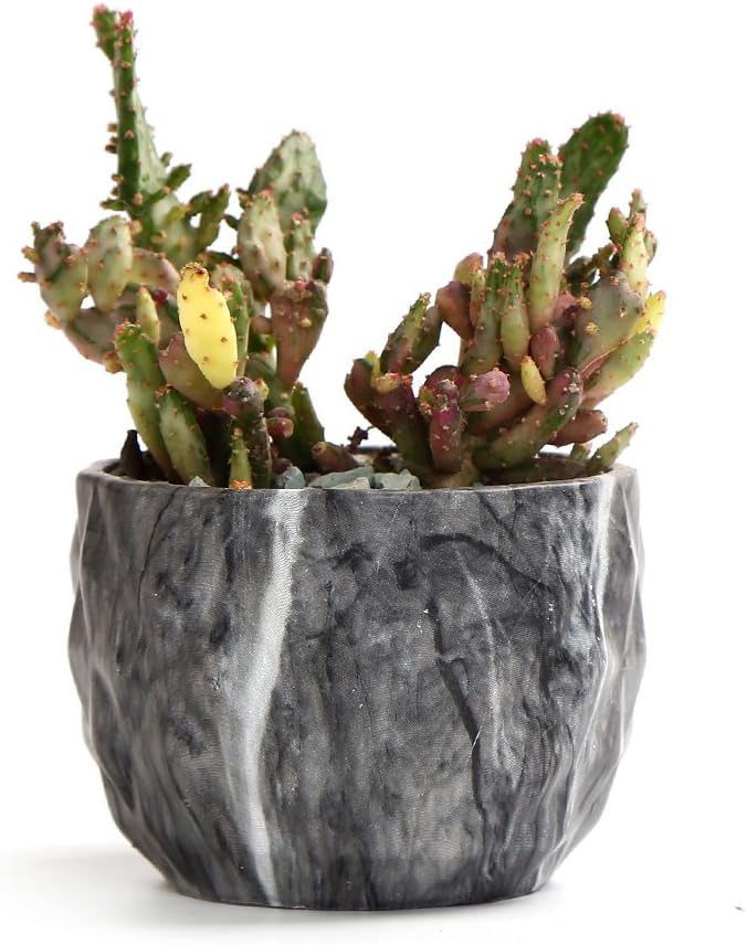 SE SUN-E Sun-E Modern Style Marbling Ceramic Flower Pot Succulent/Cactus Planter Pots Container Bonsai Planters with Hole 3.35 Inch Gift Idea(4 in