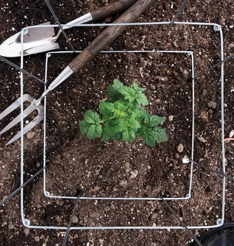 Burpee Medium Heavy Gauge Tomato Cage | 3 Cages for Plant Support in Garden | 14" x 14" x 48" | Made in The USA| Grow Healthier