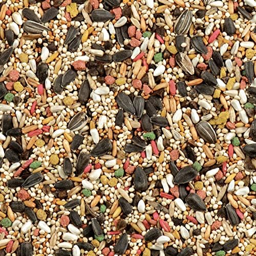 Wild Harvest Daily Blend Nutrition Diet, 2 Pounds, Bird Food for Cockatiels, Lovebirds and Small Hookbills