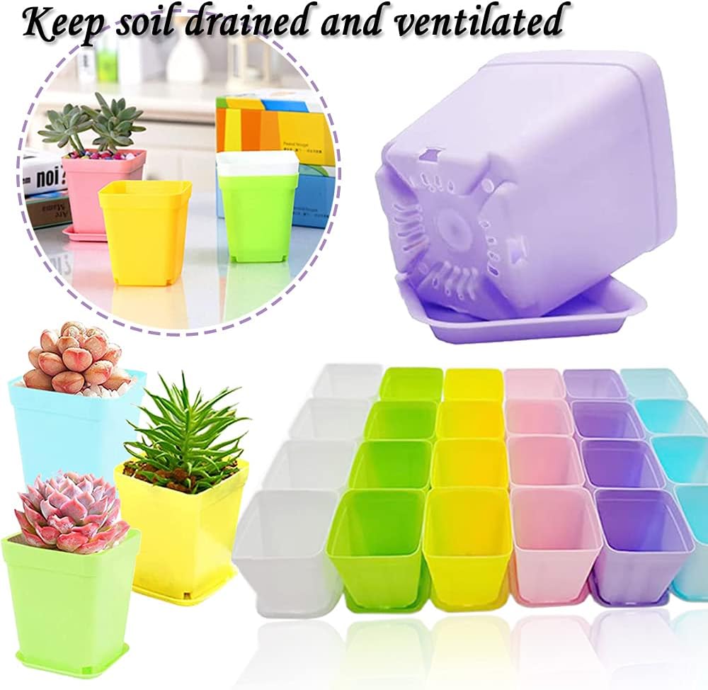 Haawooky 24 Pack Colorful Flower Pots Square Plastic Plant Pots Succulent Planter Nursery Pots with Saucers for Your Room