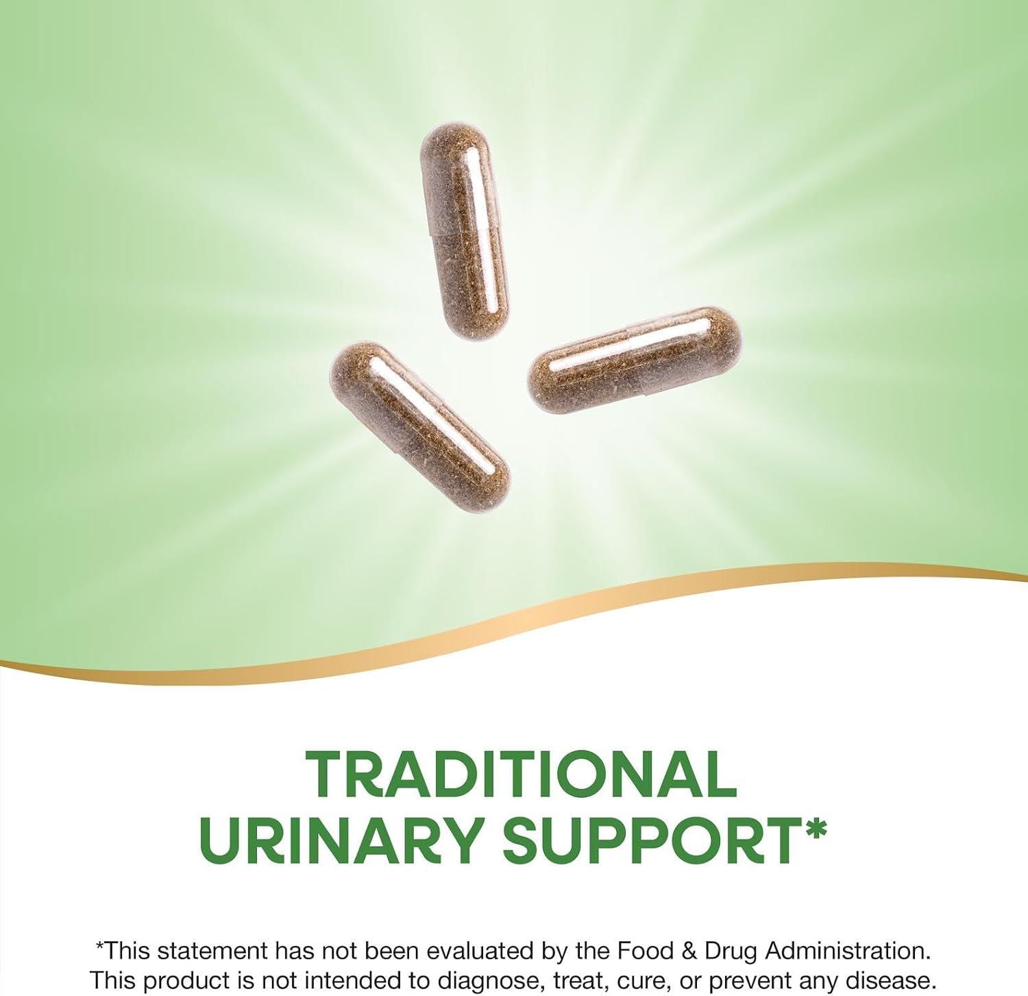 Nature's Way Uva Ursi, 1,440 mg per Serving, 100 Capsules (Packaging May Vary)