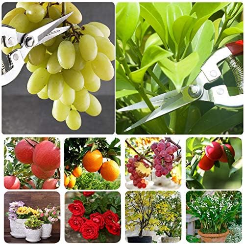 Pruning Shears with Stainless SK5 Steel Blades+Straight Tip Gardening Shears Garden Shears Garden Clippers Florist Scissors Hand Pruners Garden