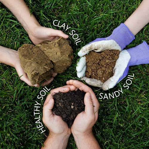 Jonathan Green (12191) Love Your Soil, Soil Food for Lawns in Hard Soils - Soil Amendment for Grass & Vegetable Gardens (15,000 Sq. Ft.)