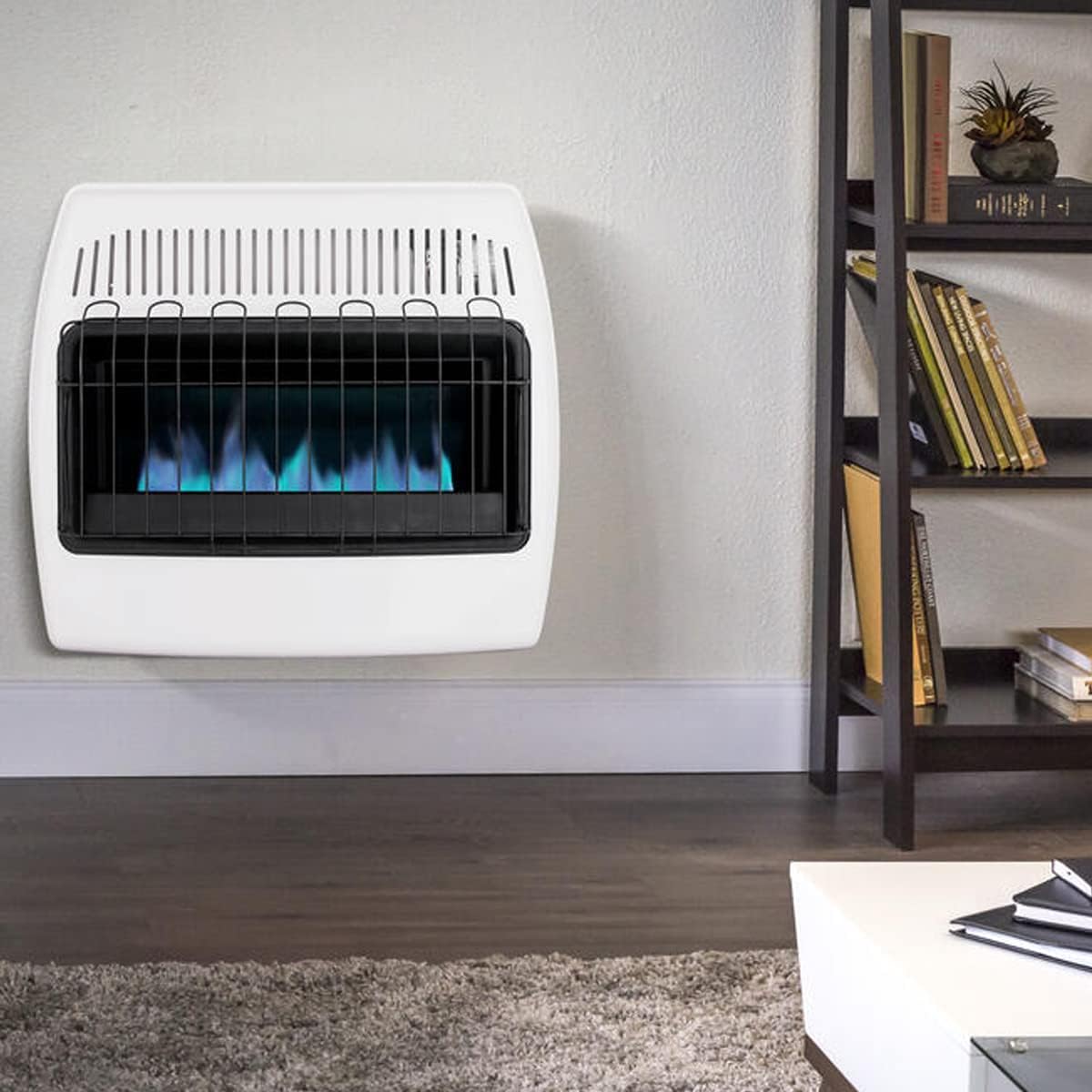 UTY 30,000 BTU Natural Gas / Propane Wall Heater for Indoor Use - Dual Fuel, with Fan Blower, white, 28 x 11 x 24