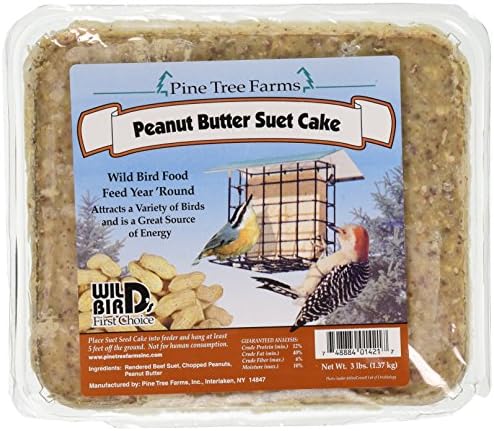 Pine Tree 1421 Peanut Butter Wild Bird Suet Cake, 3-Pound