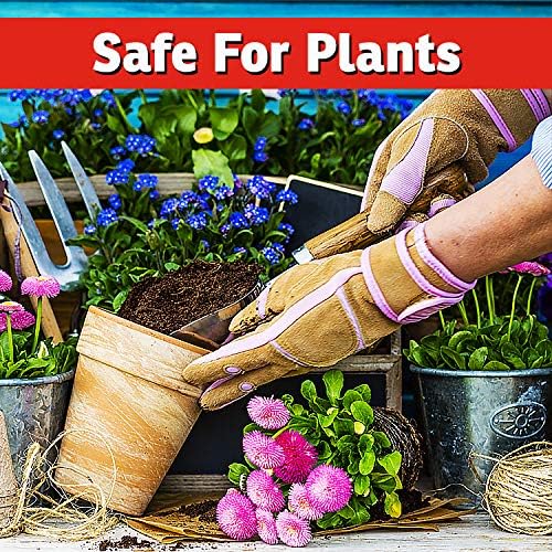 I Must Garden Deer Repellent: Powerful All-Natural Protection, 32oz Mint | Ready to Use Spray - Safe for Plants Pets & Pollinators - Pleasant Scent - Long-Lasting Control