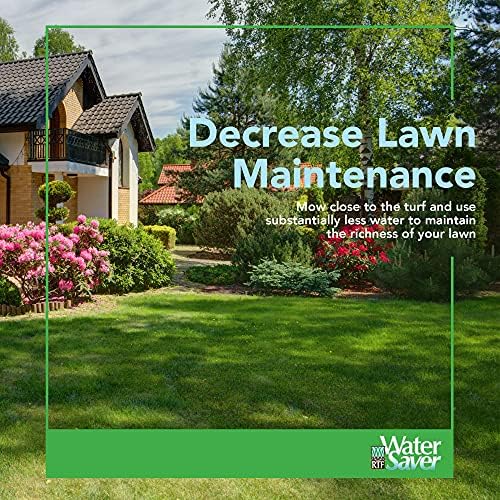 WATER SAVER LWN SEED 25#