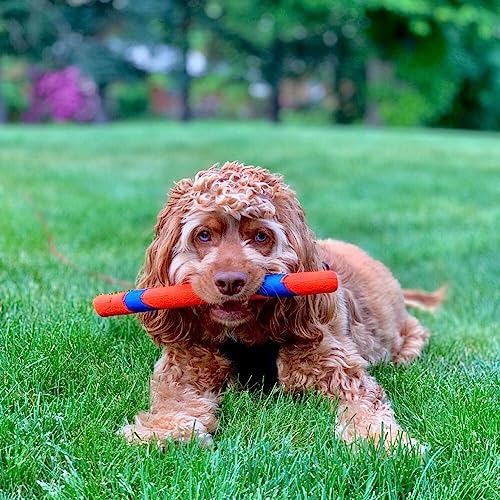 Chuckit! Interactive Dog Toy Ultra Fetch Stick - 12 Inch Outdoor Dog Toy for All Breed Sizes