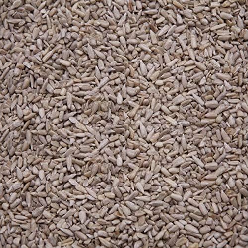 Sunflower Chips (Hearts) Medium Sized All Natural Wild Bird Food Birds Love (20)