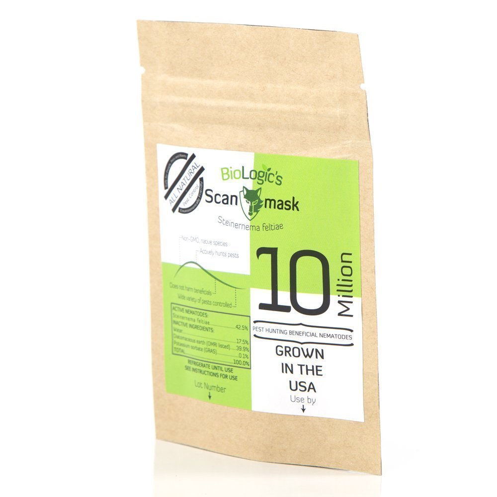 Scanmask Beneficial Nematodes, Steinernema feltiae Sf Nematodes for Natural Insect Pest Control (10 Million)