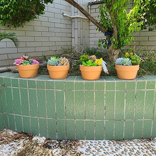 Yishang 6 Inch Terracotta Shallow Planters, Ceramic Flower Clay Plant Pots with Drainage Hole
