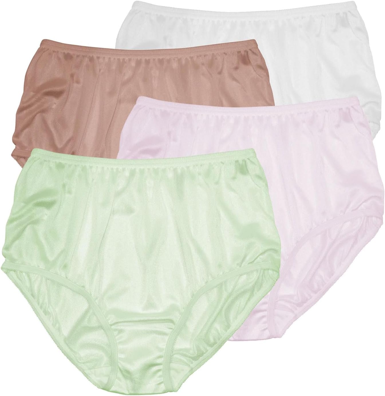 Teri Women's 331 Plain Jane Classic Nylon Silky-Smooth Lightweight Breathable Full Coverage Brief Panty - 4 Pack
