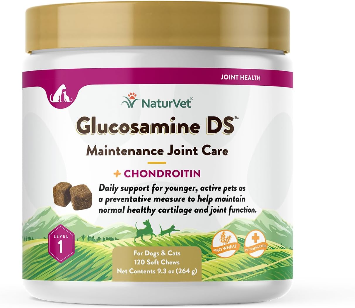 NaturVet – Glucosamine DS Plus - Level 2 Moderate Care – Supports Healthy Hip & Joint Function – Enhanced with Glucosamine, MSM & Chondroitin – for Dogs & Cats–70 Soft Chews
