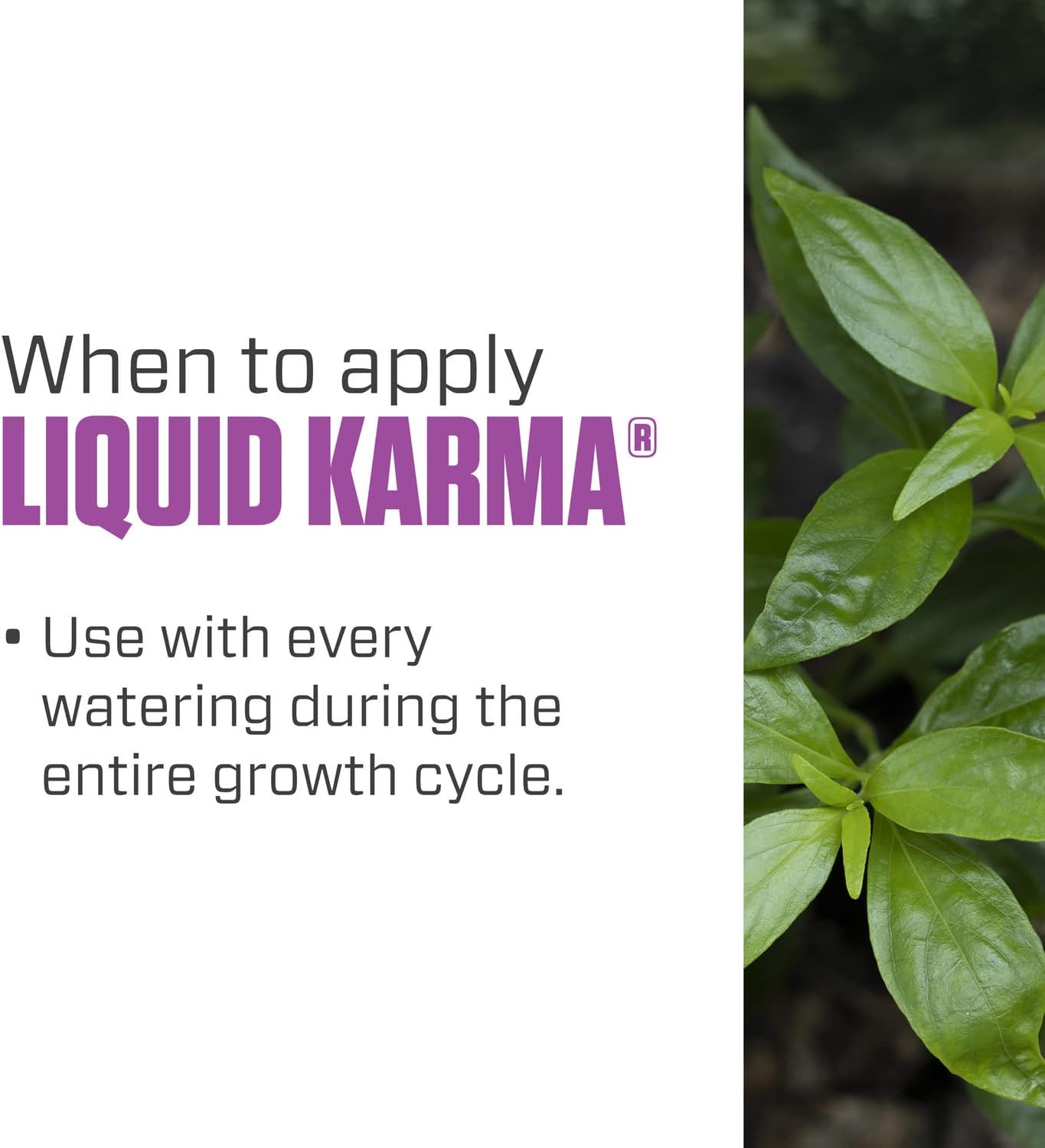 Botanicare Liquid Karma, Supplemental Nutrient, 0.1-0.1-0.5, 1 gal.