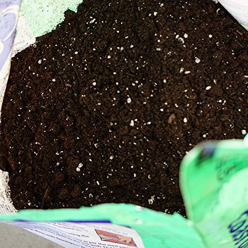 Coast of Maine (8qt) Sprout Island Blend, Organic & Natural Seed Starter for Seed Germination & Root Plant Cuttings