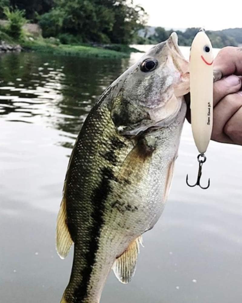 Heddon Heddon Super Spook