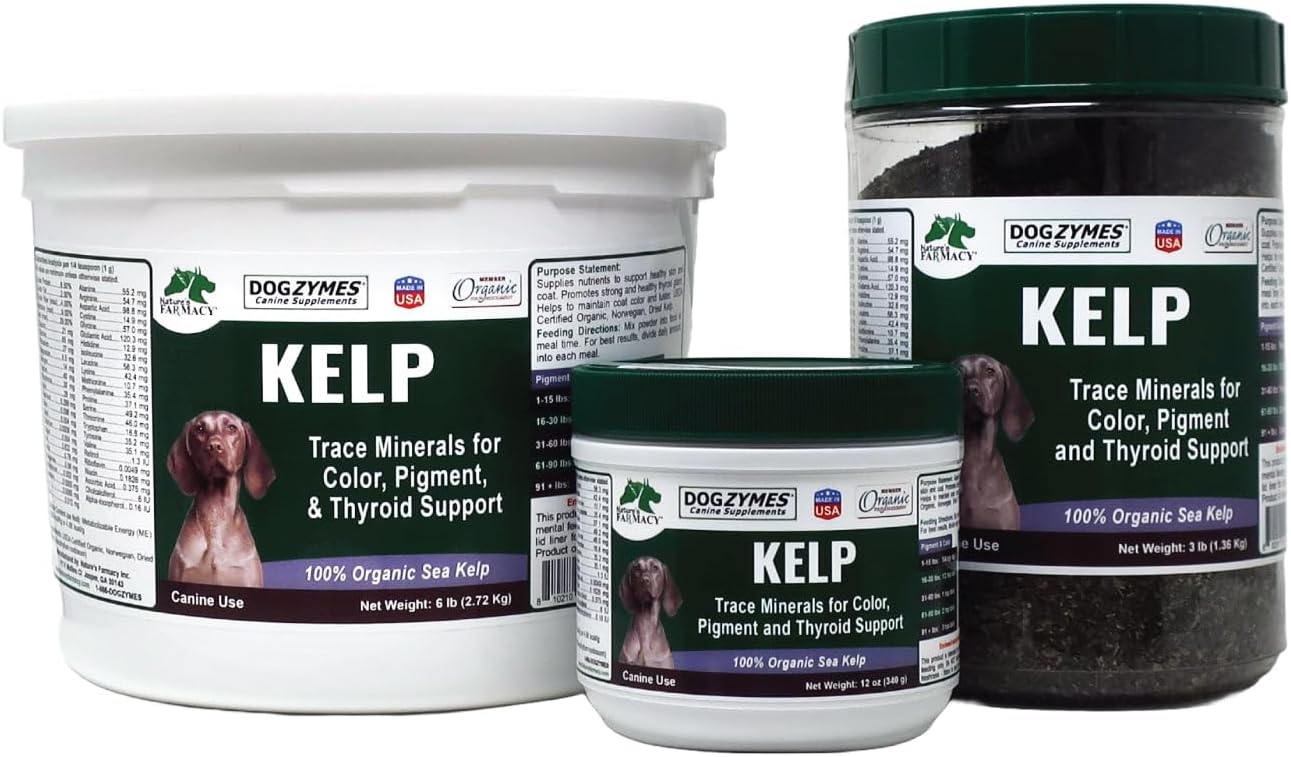Dogzymes Organic Norwegian Kelp for Pets, a Valuable Nutrition Source Rich in Iodine to Support Gland Function, Especially The Thyroid (3 Pound)