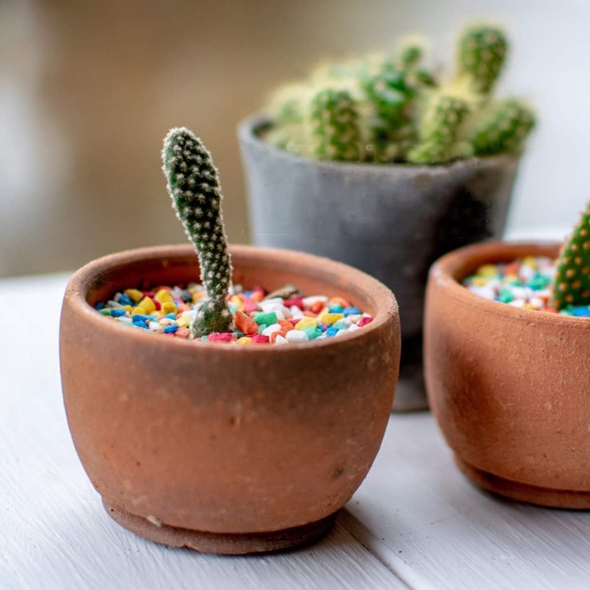 Mix Horticultural Lava Pebbles Pumice Potting Soil Amendment Succulent Cactus Bonsai Gritty Rock Decorative Gravel Plant Drainage Volcanic Rock for Terrarium Fairy Gardening Top Dressing 2.2lb