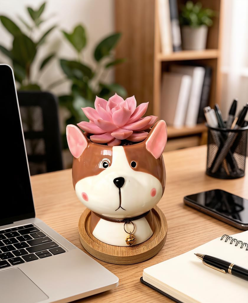 Cuteforyou Succulent Pots,Cute Animal Shaped Cartoon Ceramic Succulent Cactus Flower Planters -Plant Not Included，Cat