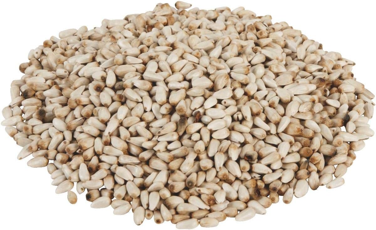 Red River Premium Safflower Bird Seed