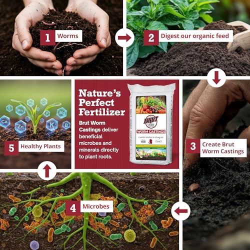 Brut Worm Farms Organic Worm Castings, Natural Fertilizer for Plants, 30 lb | Mineral-Rich Potting Mix Additive & Plant Food for Indoor Outdoor Plants, Compost, Soil Health & Garden Growth