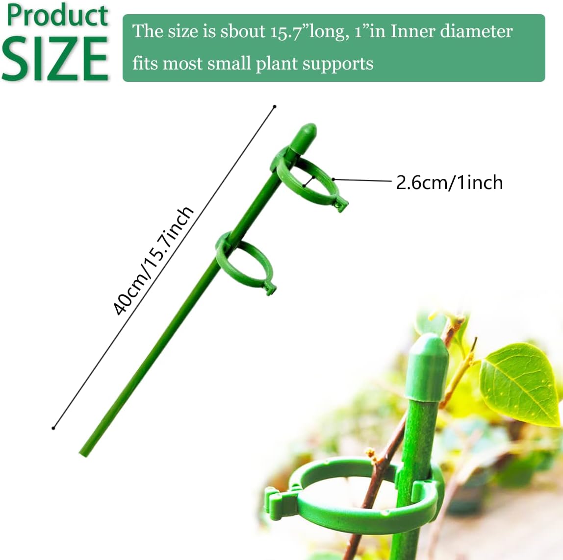Belit 8 Pack Plant Supports for Small Plants, Garden Flowers Green Plant Support Ring, Planter Support Ring for Schlumbergera, Clivia, Succulents