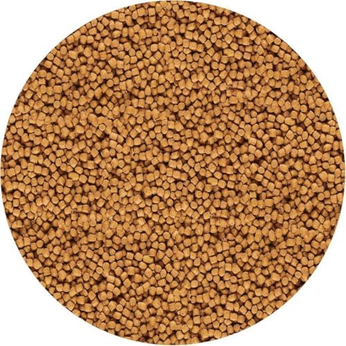 API POND COOL WATER FOOD Pond Fish Food 11-Ounce Container