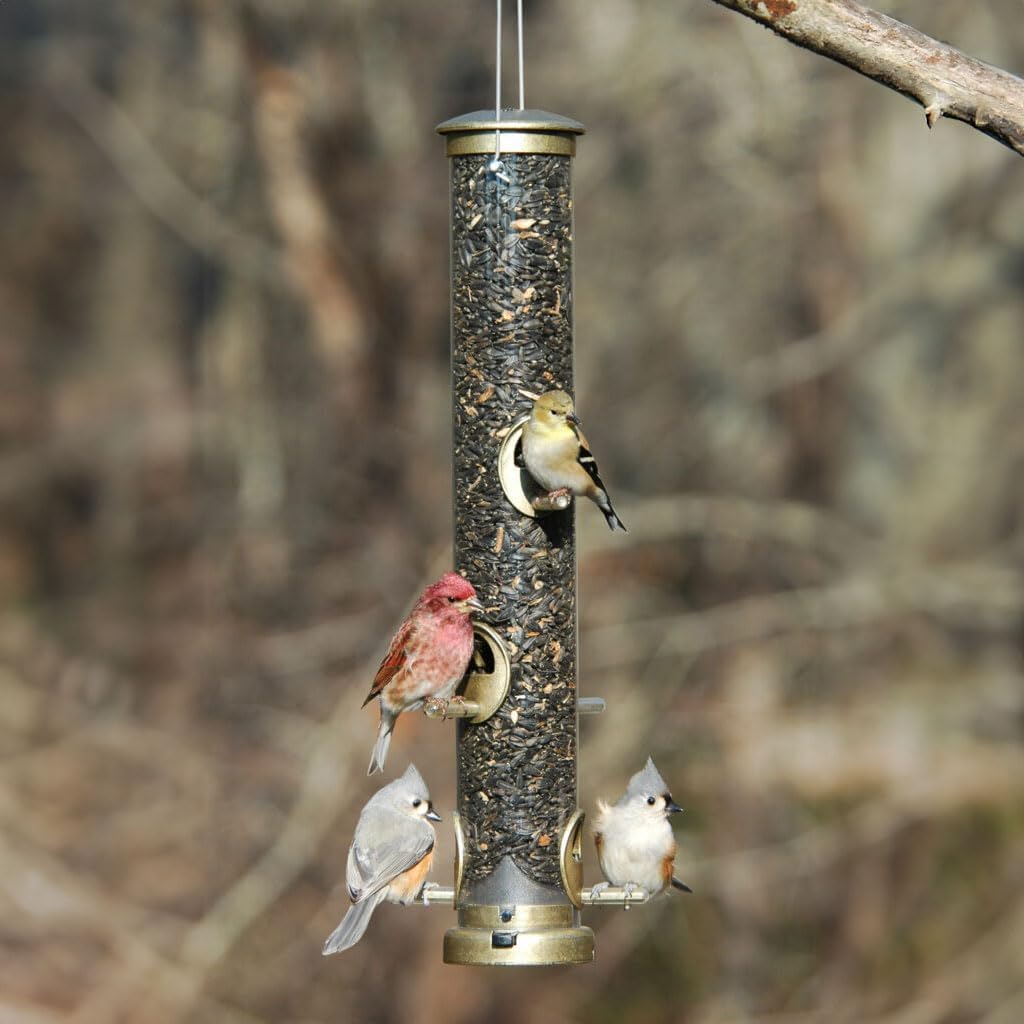 Aspects 395 Quick-Clean Seed Tube Feeder, Medium - Antique Brass