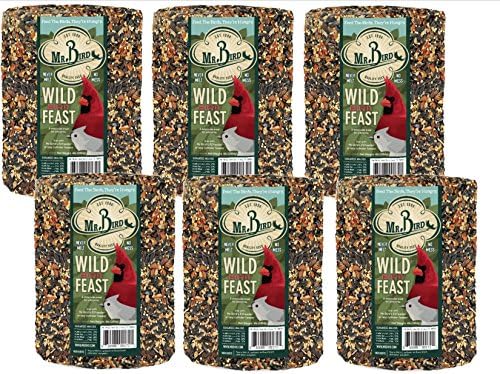 Mr. Bird WildBird Feast Cylinder, 1-Pack, 4 lbs | Wild Bird Seed for Outside Feeders | Premium Blend of Pecans, Sunflower Hearts & Millet | No Mess, No Melt