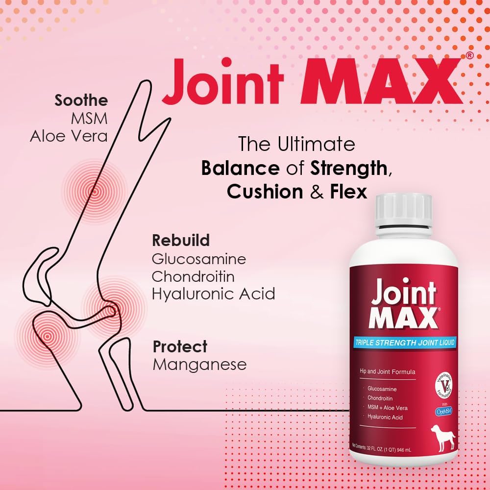 TS Joint Supplement Vet Formulated Pain & Inflammation Relief Treats Hip Dysplasia & Arthritis.Glucosamine, Chondroitin, Turmeric, MSM, HA, Creatine, Omega 3 EPA+DHA. All Dogs 240 Soft Chews
