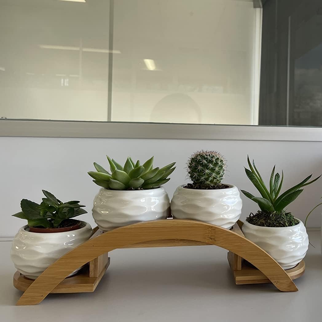 E-liu Eliu Cute Small Ceramic Succulent Pots and Stand Set, Pack of 4 | White Succulent Planter Pot with Drainage Fits Well In Windowsills