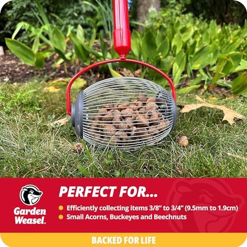 Garden Weasel Small Nut Gatherer Roller for Acorns Buckeyes Beech Nuts