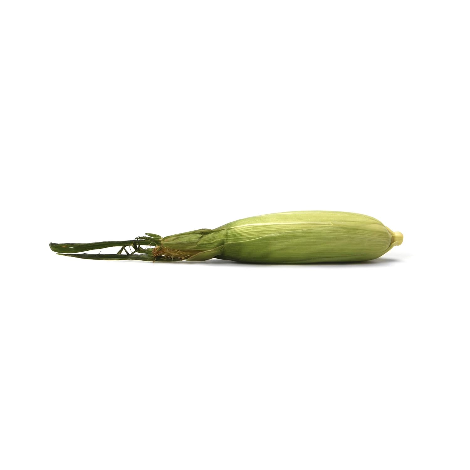 Bi-Color Corn