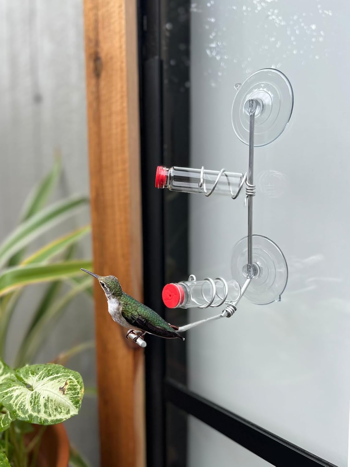 Window Hummingbird Feeder | Handcrafted Copper and Aluminum | Multiple Stations | Modern Hummingbird Feeder | Glass Bottles | Suction Cups (Copper, Four Station)