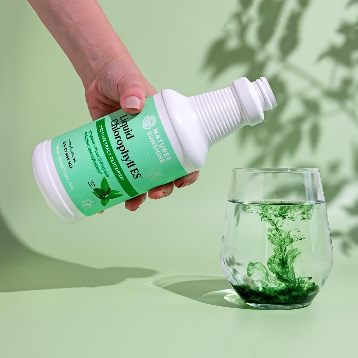 Nature's Sunshine Liquid Chlorophyll Extra Strength - Immunity Support, Detox & Cleanse, Chlorophyll Liquid Drops with Spearmint Oil, Natural Energy Boost, Internal Deodorant - 16 Fl Oz