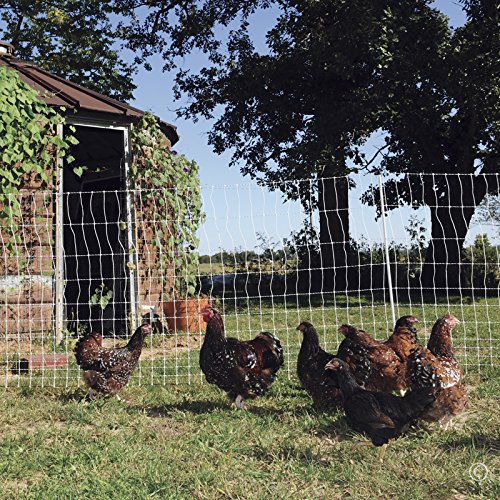Premier 1 PoultryNet® Plus, Starter Kit for Chickens – 48"H x 100'L | White/black. Includes solar energizer, support posts & tester. Double spike