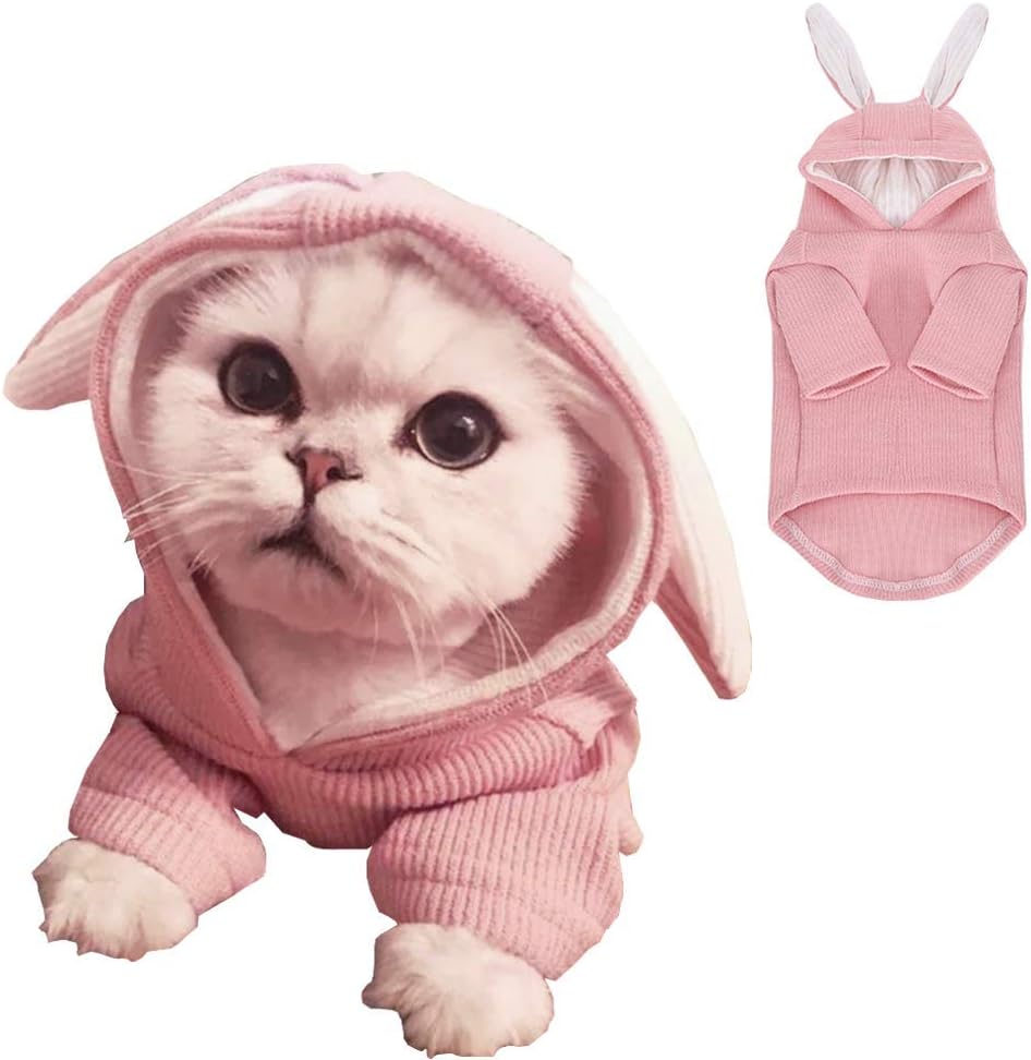 ANIAC Dog Hoodies Sweatshirt with Bunny Ears Spring Puppy Clothes for Small Dog Girl Boy Soft Doggy Sweater Cat Apparel Pet Clothing for Kitten