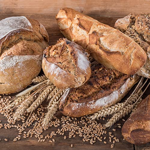 Soft White Wheat Berries Organically Grown in Michigan, Farmer Direct, USDA Organic Certified, Non-GMO, 25 Lbs Total // Findlay's Organics