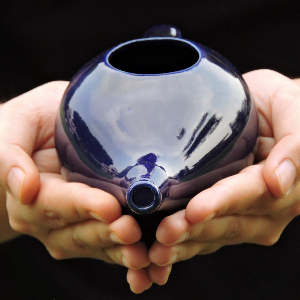 HealthGoodsIn Ceramic Neti Pot, Dishwasher Safe, Premium Handcrafted with 2 Silicone Nozzle and Salt for Sinus - 225 Ml. Capacity (Brown)