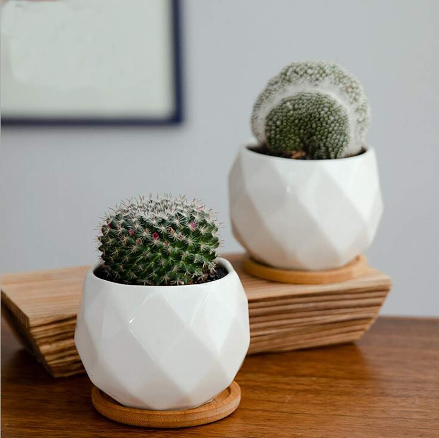 Jucoan 6 Pack Ceramic Succulent Planter Pot with Bamboo Tray